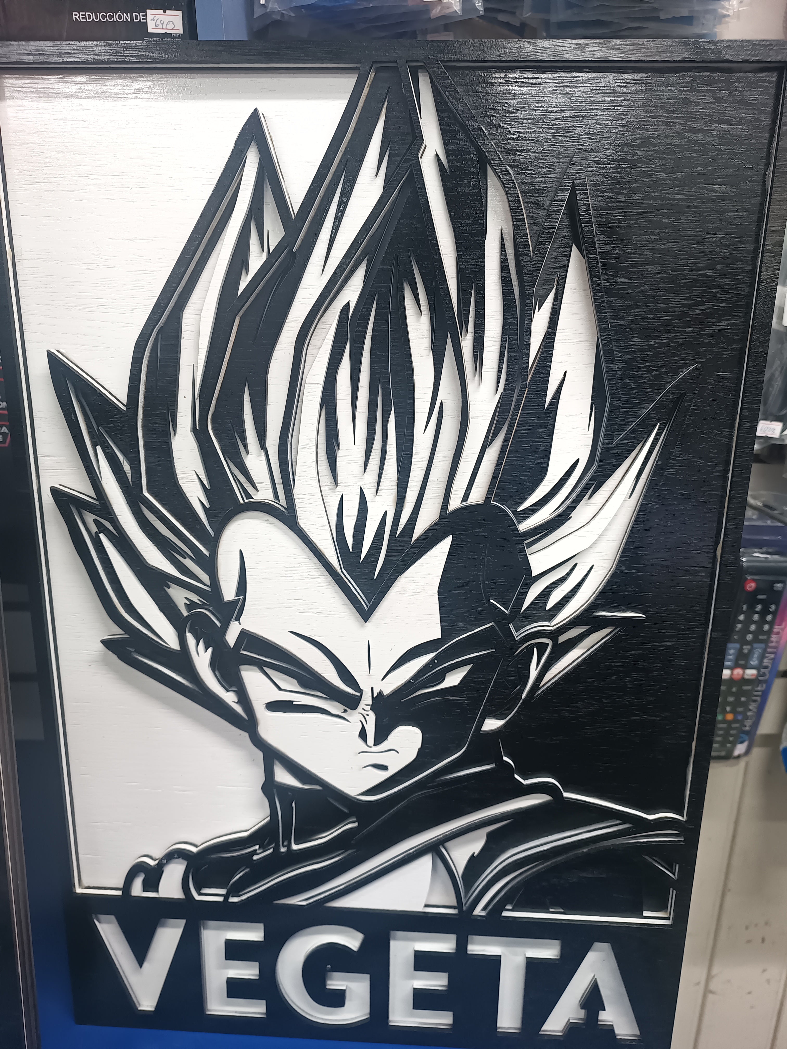 Cuadro de Vegeta